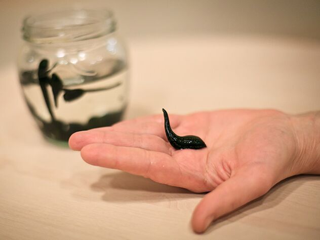 Úsase para tratar a artrose da articulación do xeonllo